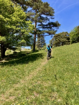 Lady Bike Day